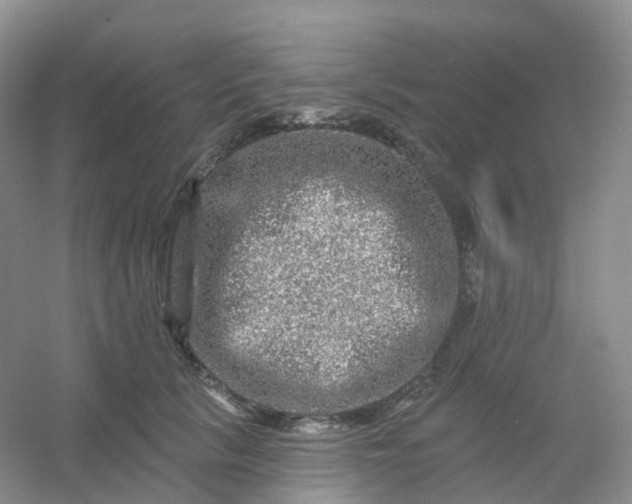 X0000054460657200508121938