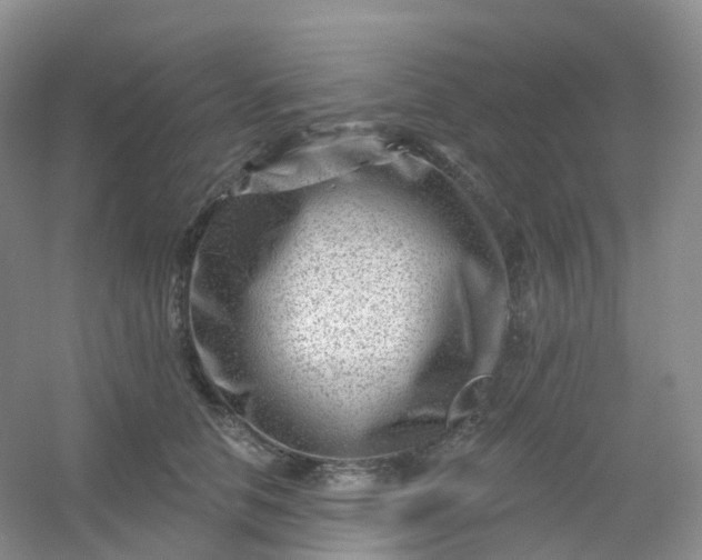 X0000054460658200508121938