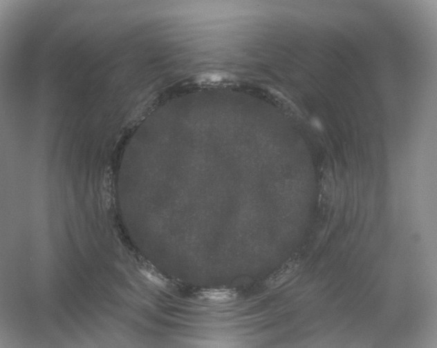 X0000054460659200508121938