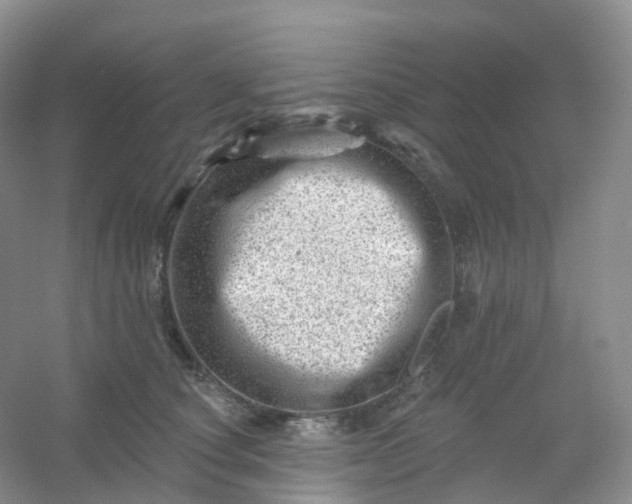 X0000054460660200508121938