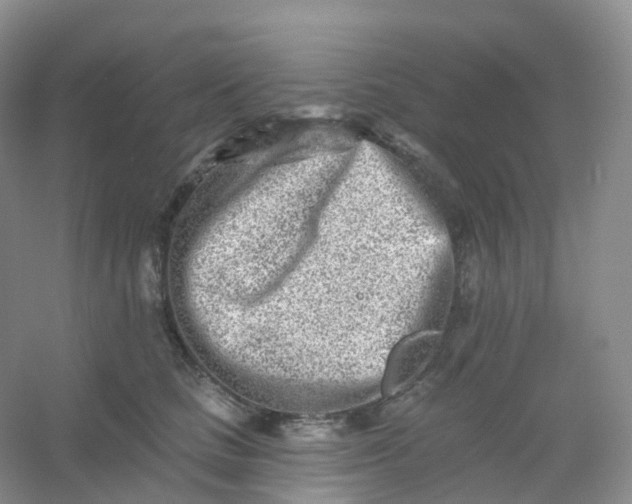 X0000054460661200508121938