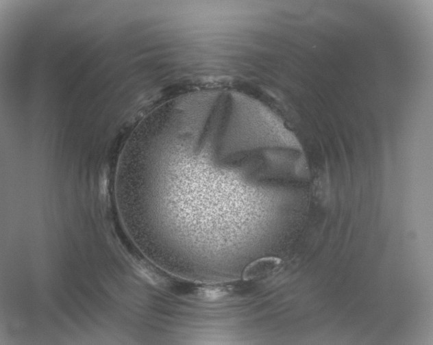 X0000054460662200508121938