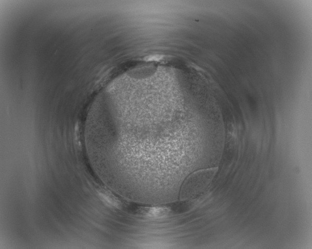 X0000054460663200508121939