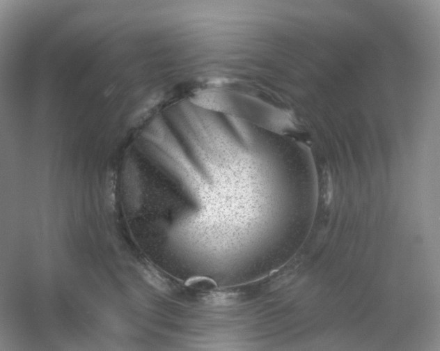 X0000054460664200508121939