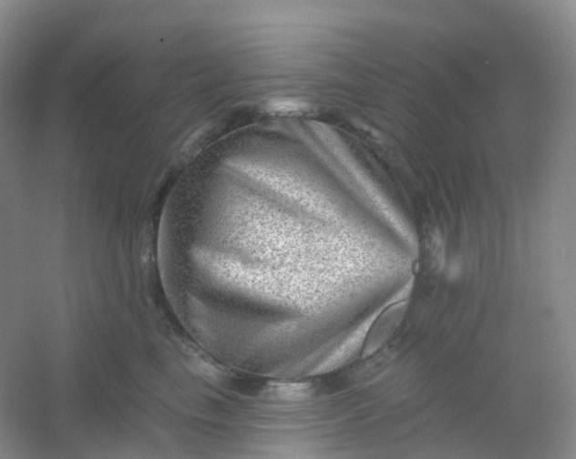 X0000054460665200508121939