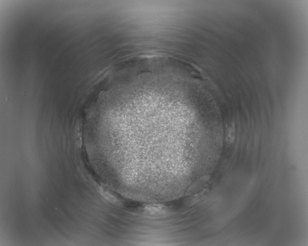 X0000054460666200508121939