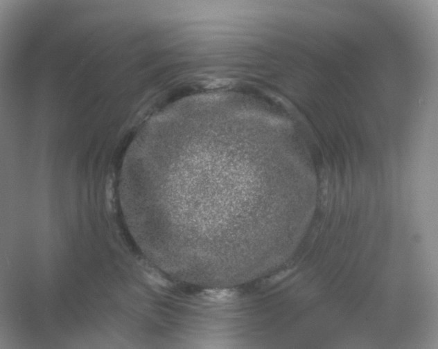 X0000054460667200508121939