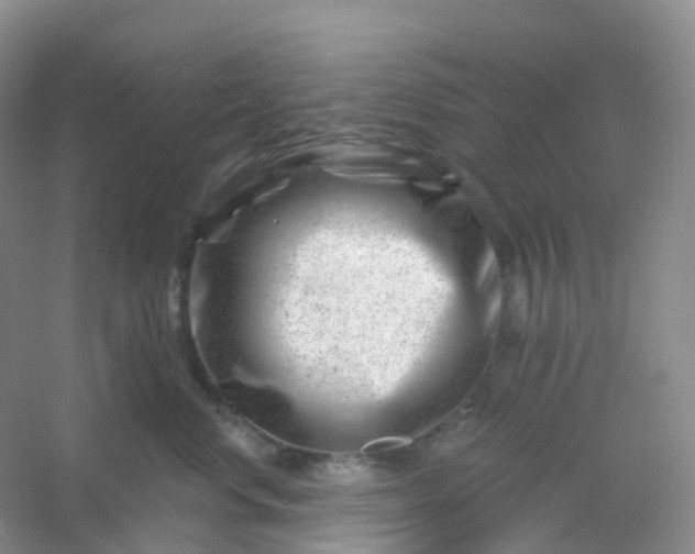 X0000054460668200508121939