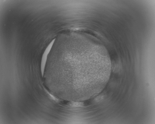 X0000054460670200508121939