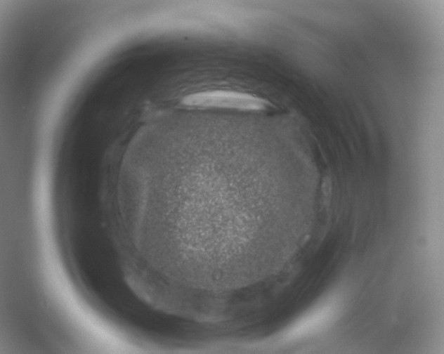 X0000054460671200508121939