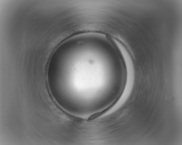 X0000054460673200508121938