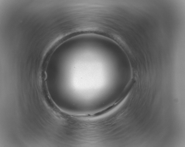 X0000054460676200508121938