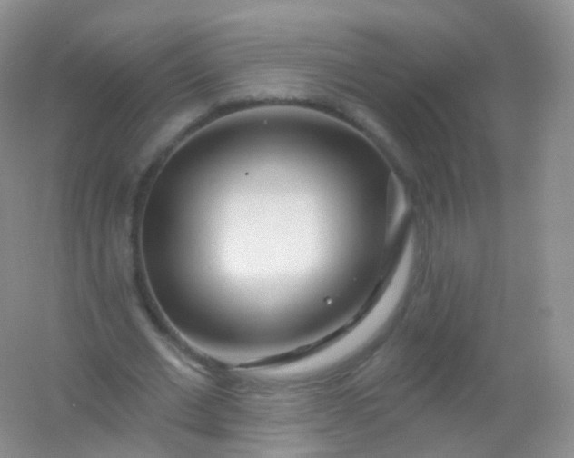 X0000054460677200508121938