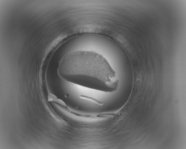 X0000054460678200508121938