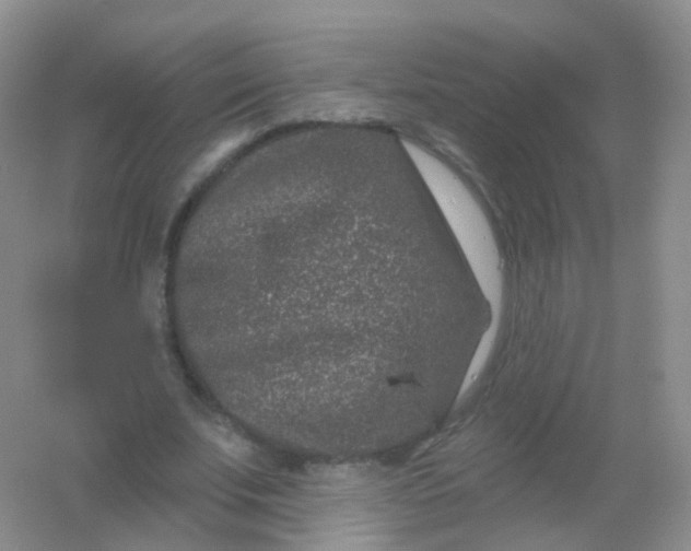 X0000054460679200508121938