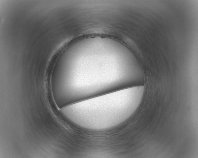 X0000054460680200508121938