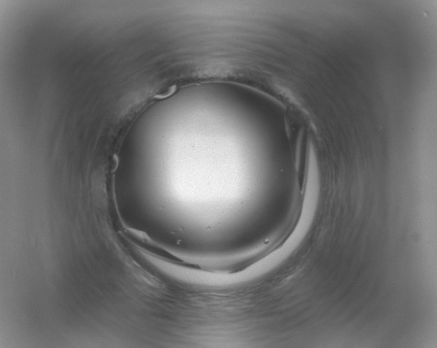 X0000054460681200508121938