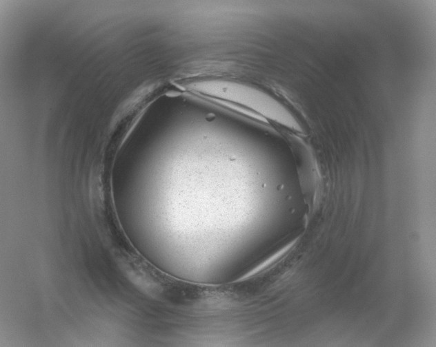 X0000054460682200508121938