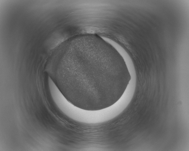 X0000054460683200508121938