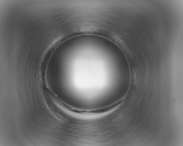 X0000054460684200508121938