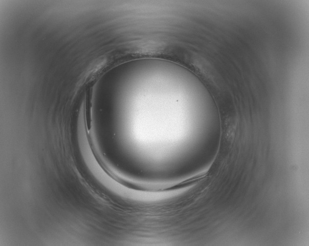 X0000054460685200508121938