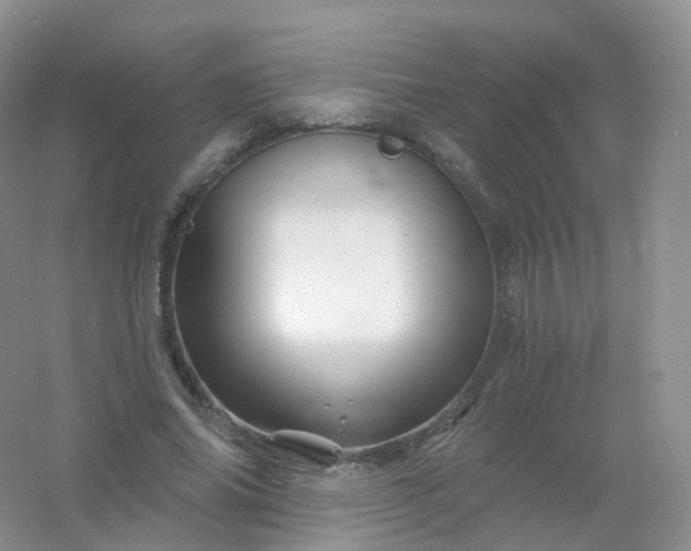 X0000054460686200508121938