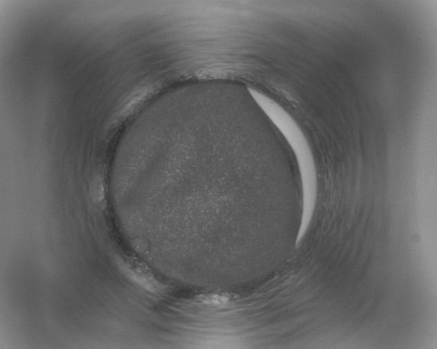 X0000054460687200508121938