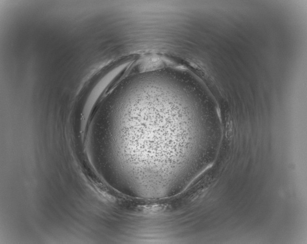 X0000054460688200508121938