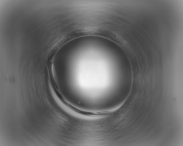 X0000054460689200508121938