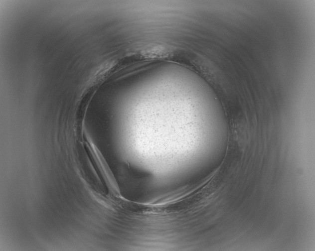 X0000054460690200508121938