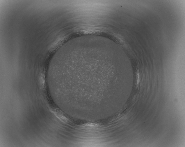 X0000054460691200508121938