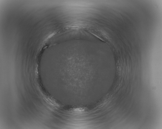 X0000054460692200508121938