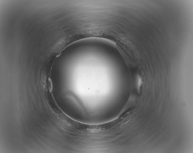 X0000054460693200508121938