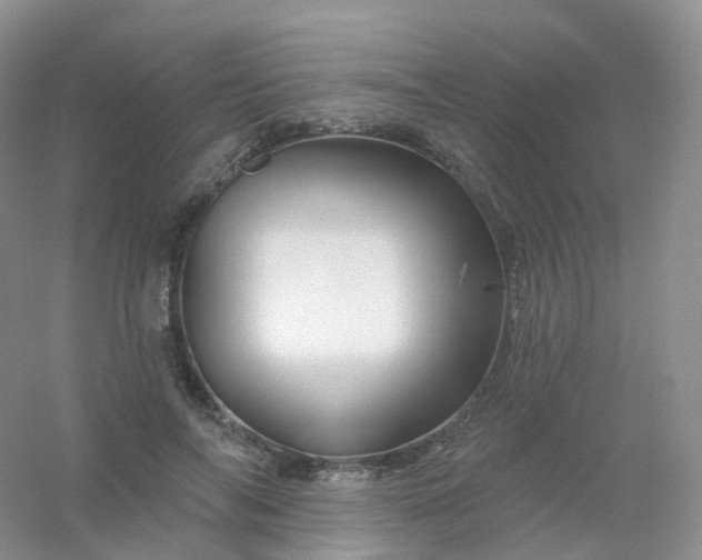 X0000054460694200508121937