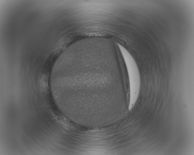 X0000054460695200508121937