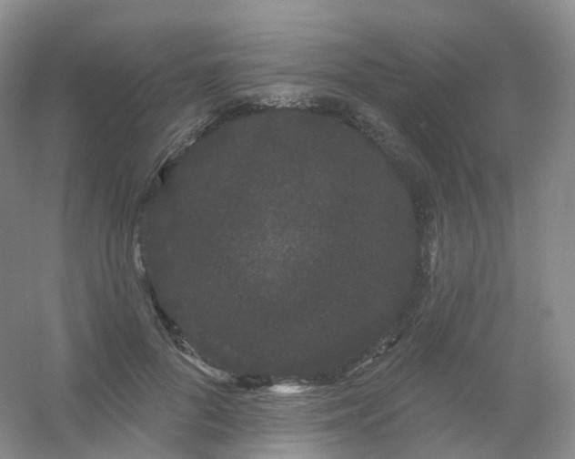 X0000054460696200508121937