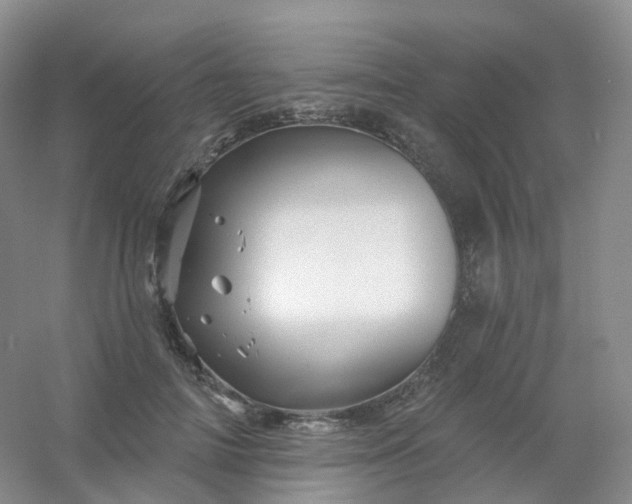 X0000054460698200508121937