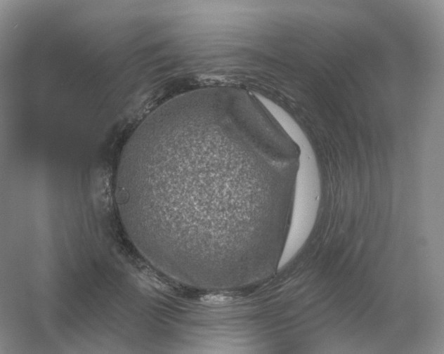 X0000054460699200508121937