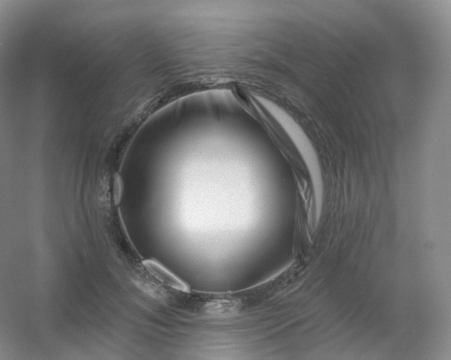 X0000054460700200508121937