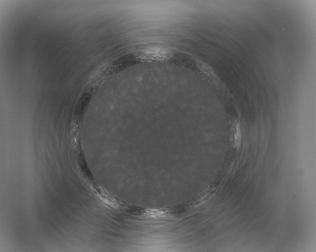 X0000054460701200508121937