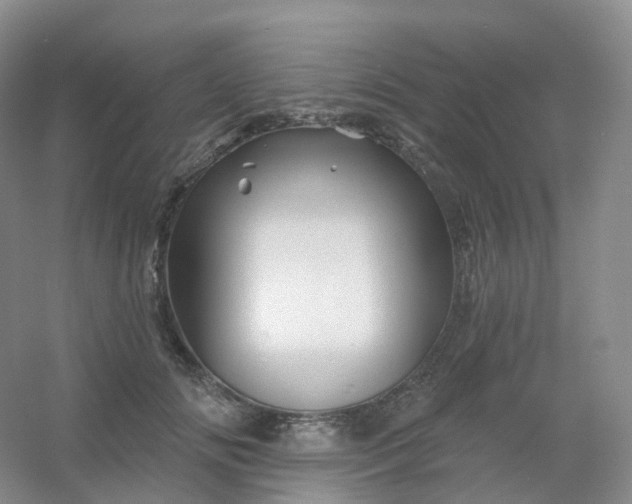 X0000054460702200508121937