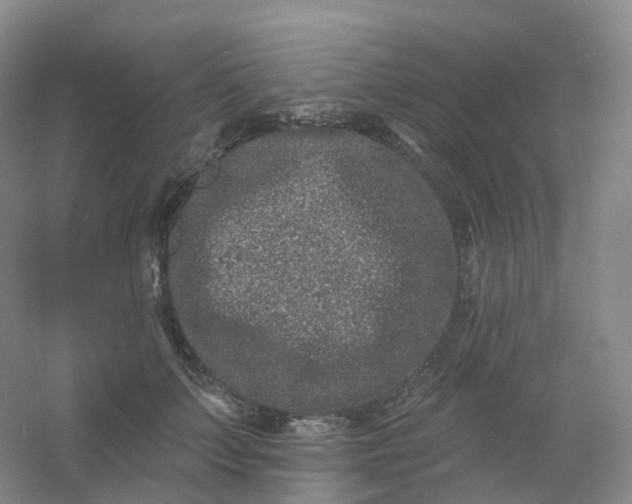 X0000054460703200508121937