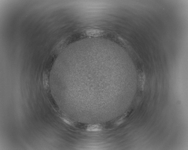 X0000054460705200508121937