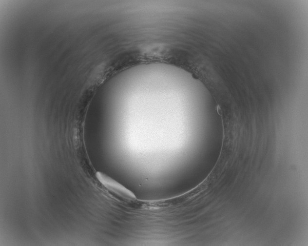 X0000054460706200508121937