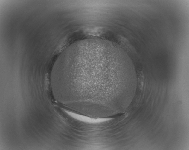 X0000054460707200508121937