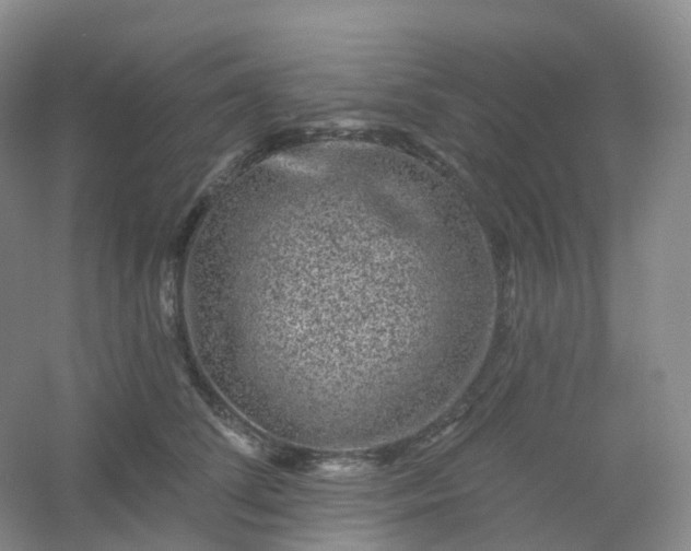 X0000054460708200508121937