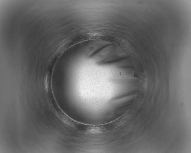 X0000054460710200508121937