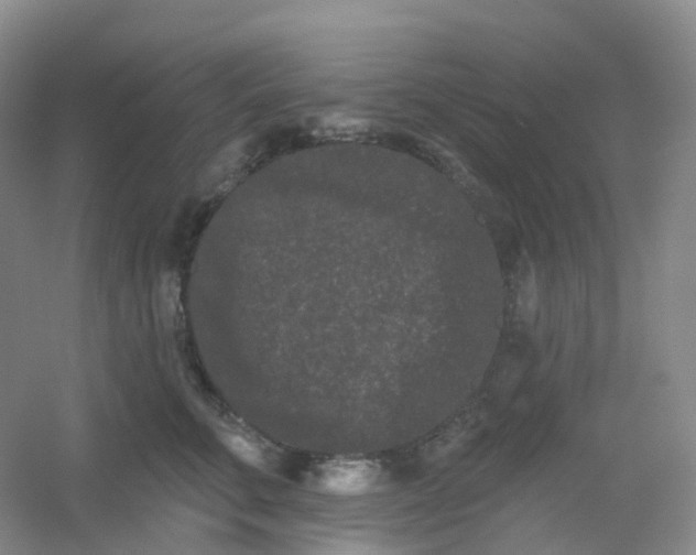 X0000054460711200508121937