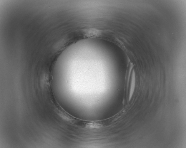 X0000054460714200508121937