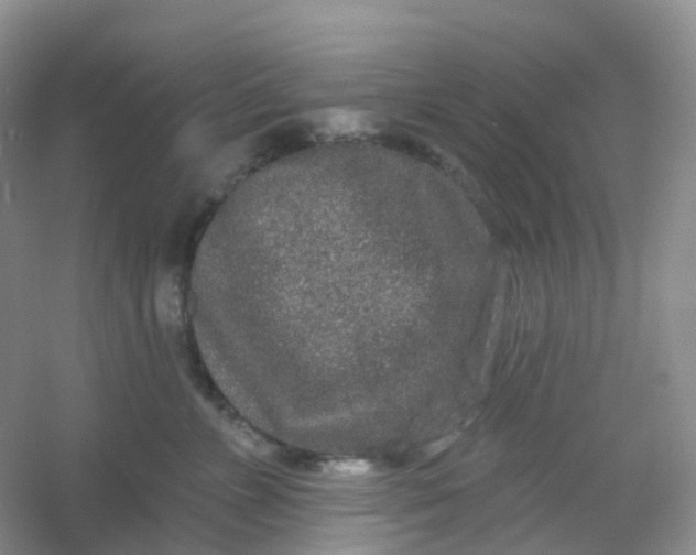 X0000054460715200508121937